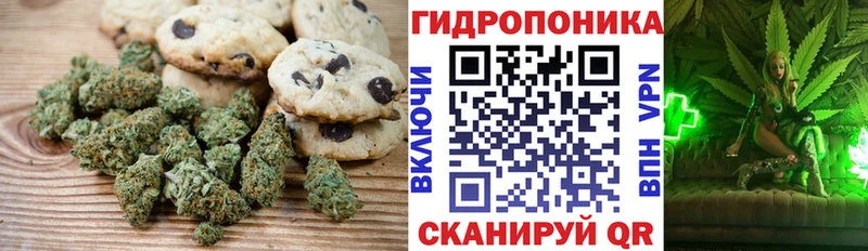 купить наркоту Ачхой-Мартан Еда ТГК конопля