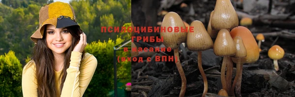 бошки Верхнеуральск