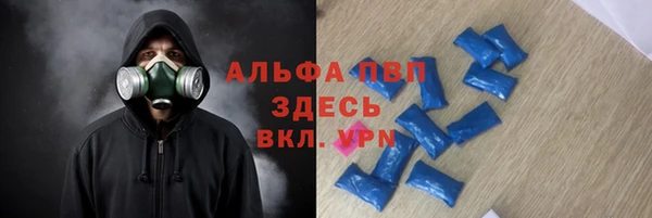дмт Верея